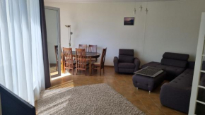Гостиница LivingPalanga - S. Neries  Паланга